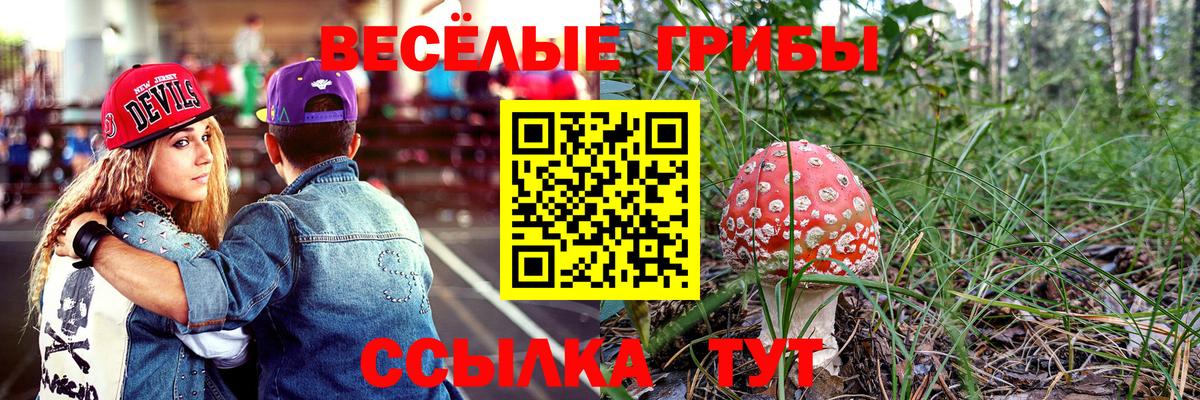 Псилоцибиновые грибы прущие грибы  Вход с VPN  Белгород 